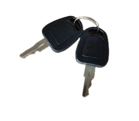 EZGO RXV Replacement Golf Cart Keys (2 Pack)